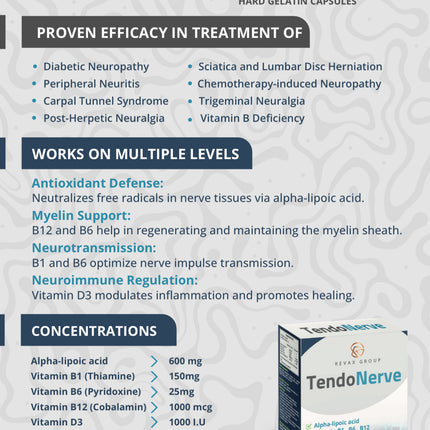 TendoNerve – تركيبة لصحة الأعصاب، منشط عام ودعم الطاقة - 30 كبسولة (4 عبوات)